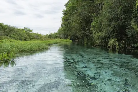 Foto: Otávio Nogueira / Wikimedia Commons · CC BY 4.0 Río Sucuriú, de agua transparente, en Bonito, Mato Grosso do Sul