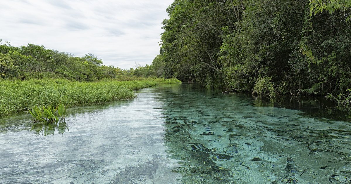 Río Sucuriú, de agua transparente, en Bonito, Mato Grosso do Sul