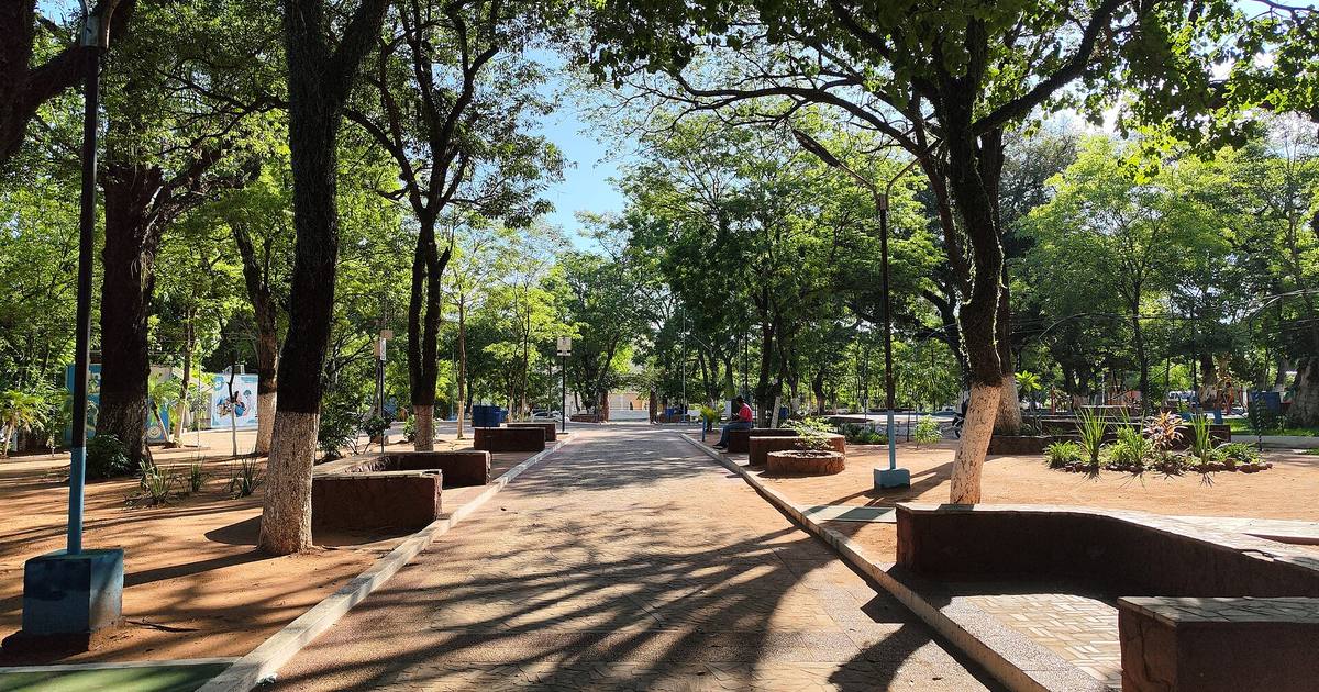Senderos y árboles de la Plaza Central de San Antonio, en el departamento Central