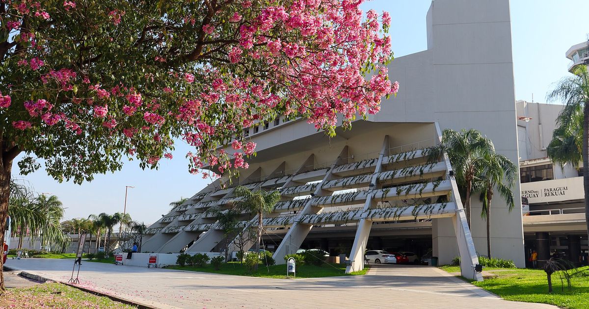 Fachada del aeropuerto internacional Silvio Pettirossi, en Luque, con un lapacho en flor