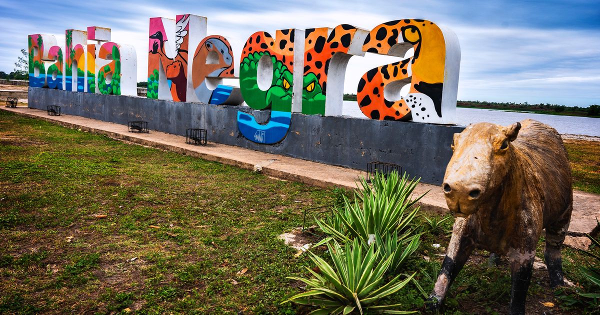 Letras de colores con el nombre de Bahía Negra, pintadas con un jaguar y aves, frente al río