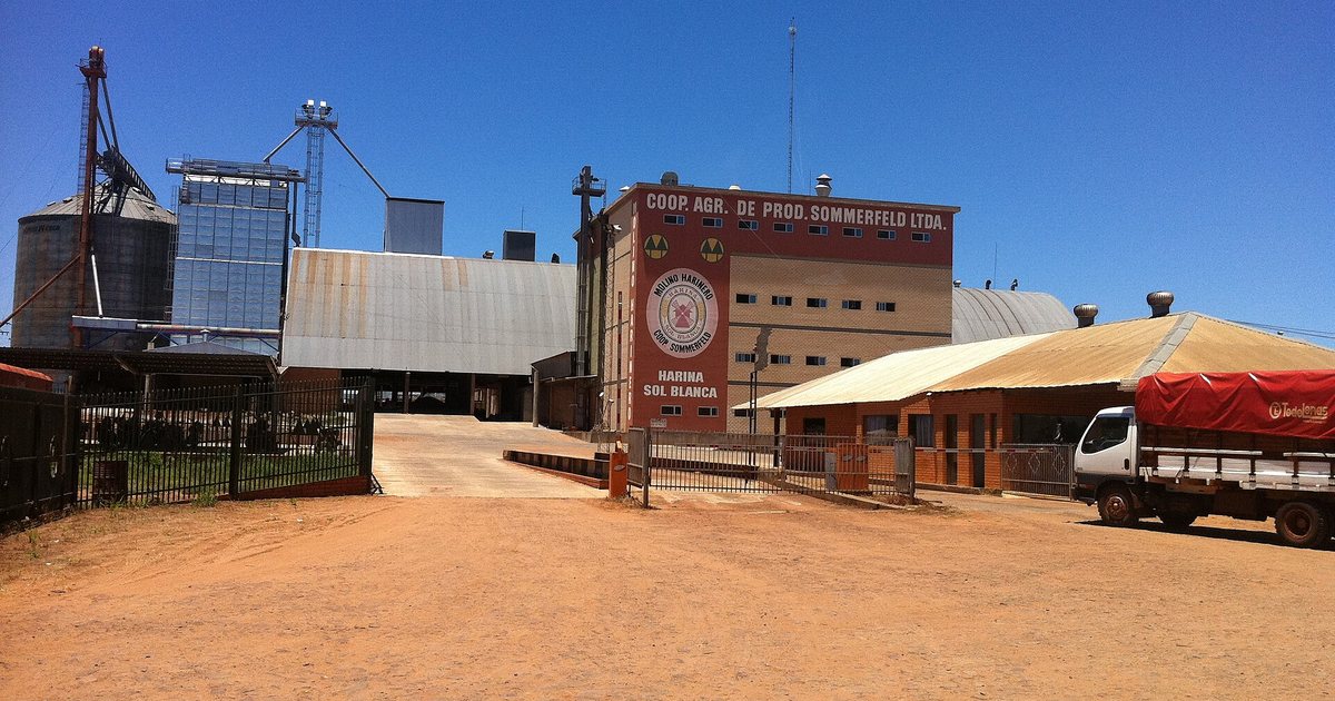 Molino harinero de la cooperativa Sommerfeld en Campo 9, con silos de granos y la marca de harina Sol Blanca en la fachada