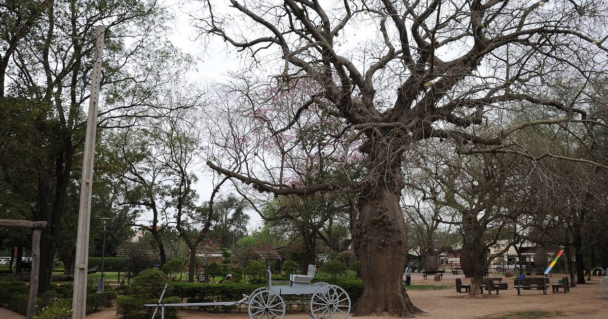 Parque con un carro antiguo bajo árboles, en Filadelfia
