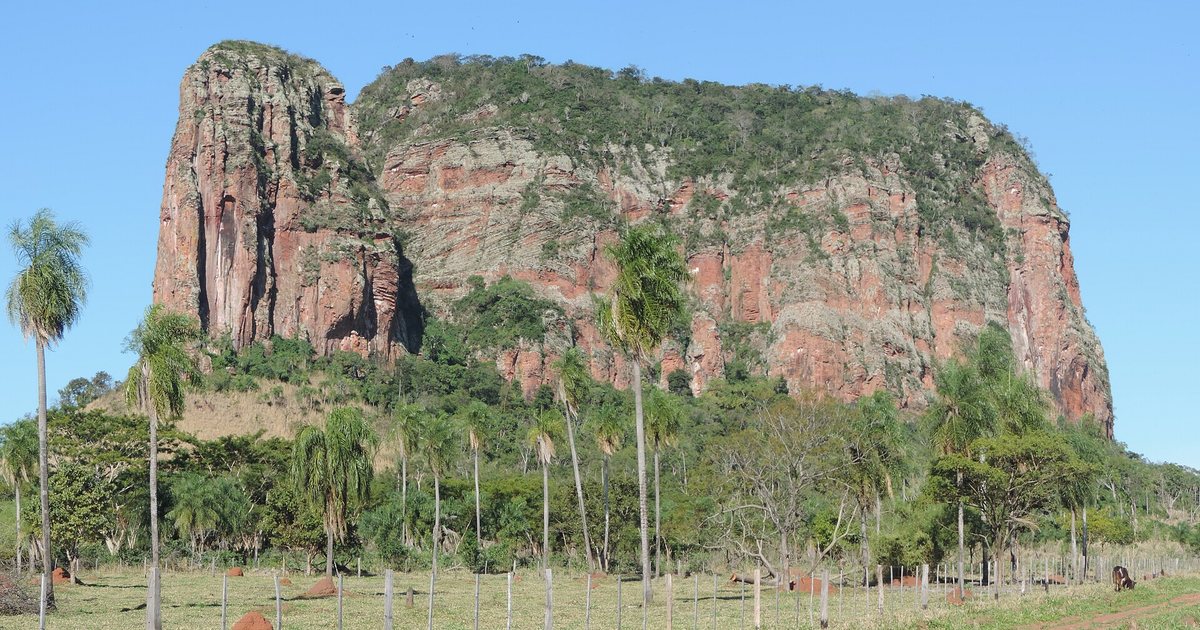 Paredones de roca rojiza del Cerro Memby, con palmeras y un camino de tierra al pie