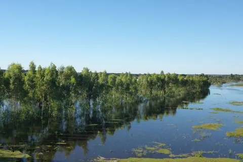 Campo inundado por la crecida del río Paraguay, visto desde el puente Remanso, en Presidente Hayes