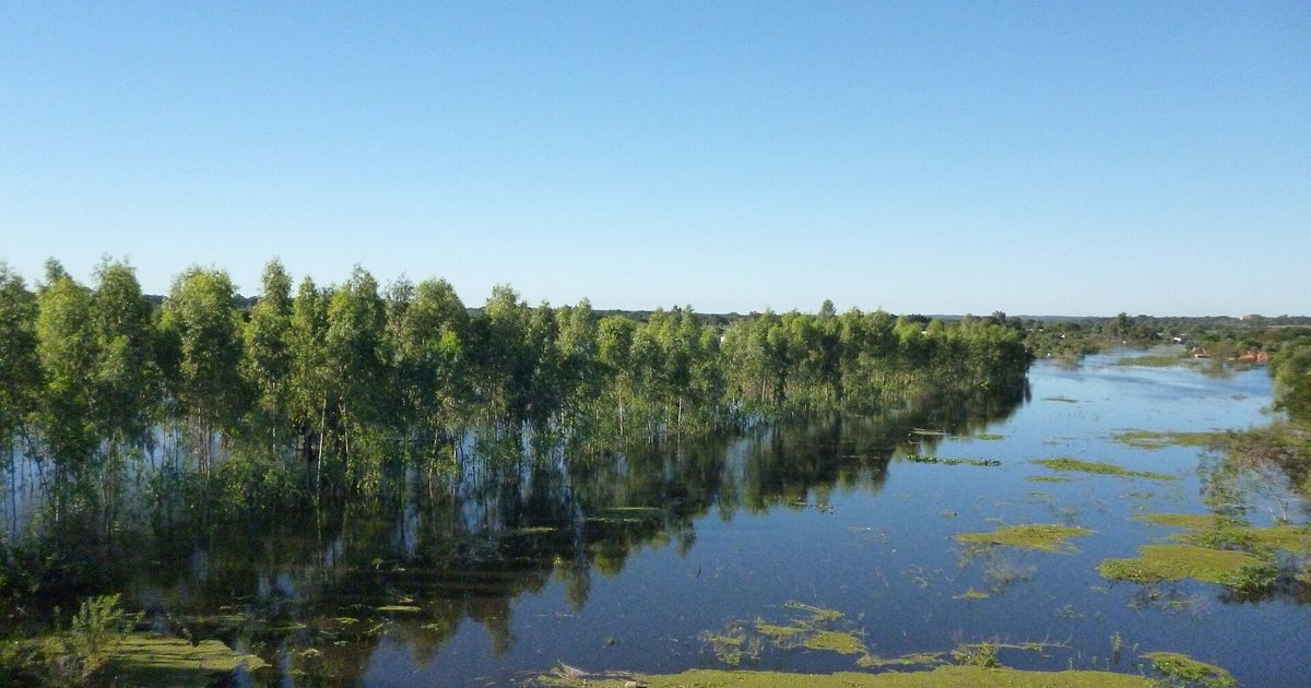 Campo inundado por la crecida del río Paraguay, visto desde el puente Remanso, en Presidente Hayes