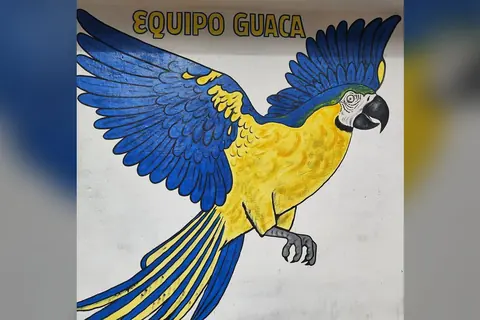 El mural del guacamayo azul y amarillo de Sportivo Luqueño frente al estadio Feliciano Cáceres, en Luque