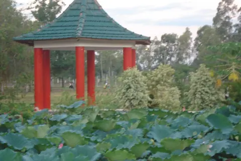 Quiosco de techo verde y columnas rojas junto a un estanque en el Ñu Guasu