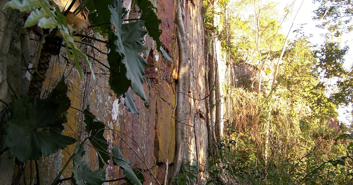 Pared de roca del Cerro Muralla entre árboles, en el Parque Nacional Cerro Corá, Amambay