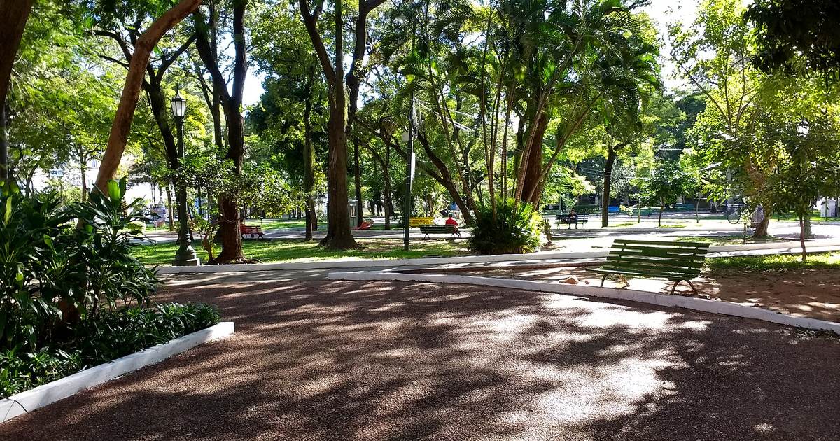 Senderos, bancos y árboles de la Plaza Uruguaya, en el centro de Asunción