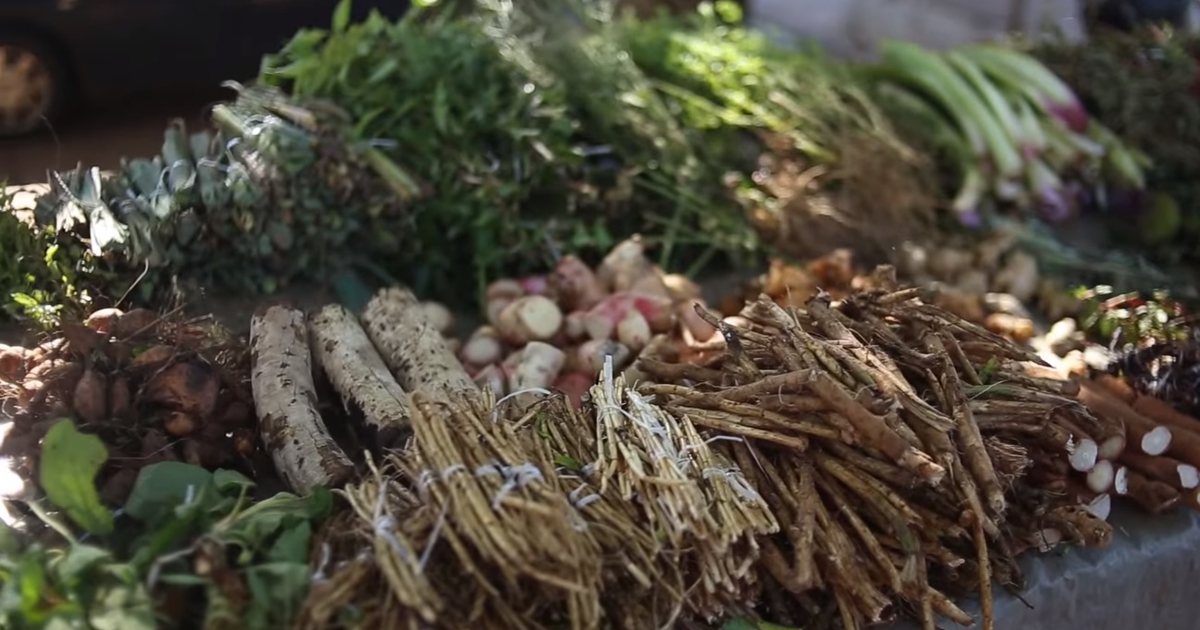 Yuyos frescos que se usan para preparar el tereré