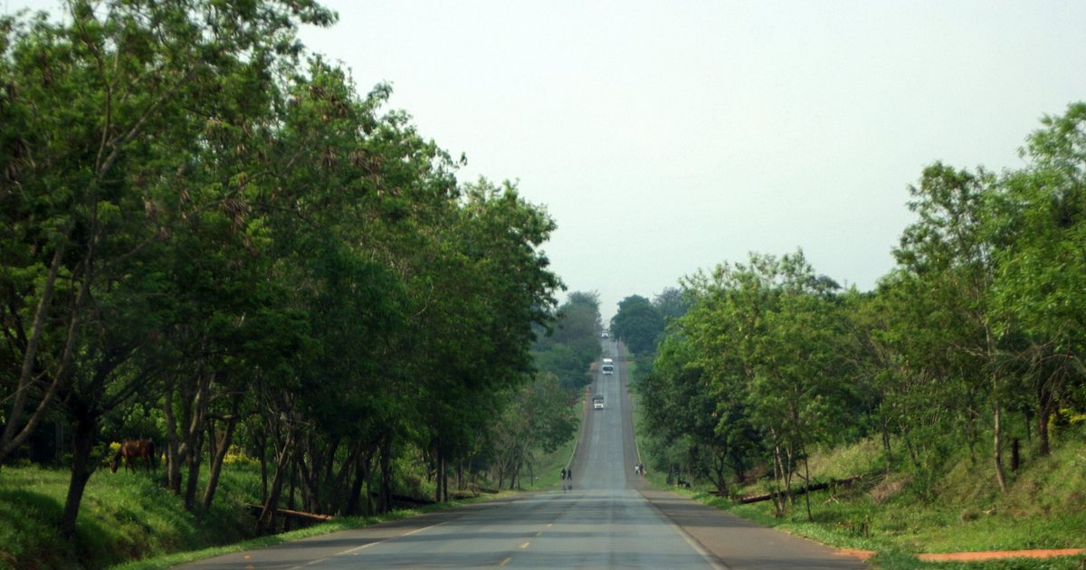 Ruta asfaltada entre árboles en el departamento de San Pedro