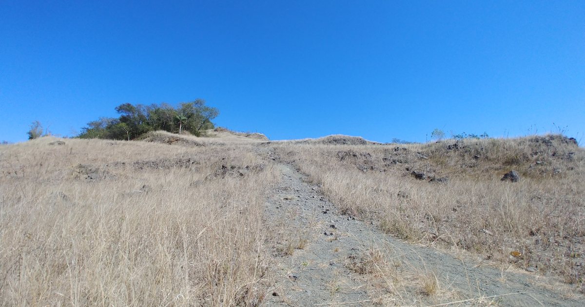 Sendero de tierra que sube hacia la cima del cerro Ñemby, entre pastizales, en Ñemby, departamento Central