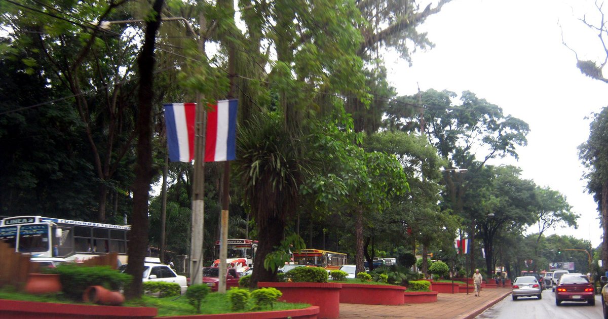 Avenida arbolada de Ciudad del Este con banderas paraguayas, bajo un cielo gris y con el asfalto mojado
