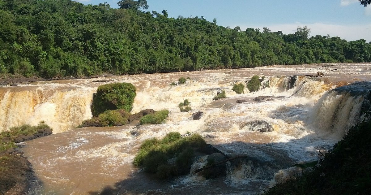 Los Saltos del Monday, con el agua marrón que cae entre rocas cubiertas de vegetación y la selva sobre las barrancas