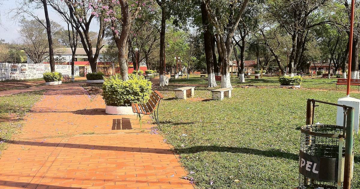 Camino de ladrillo entre el césped y los árboles de una plaza de Repatriación, con un lapacho en flor y bancos de madera