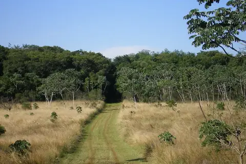 Foto: Hugo Diaz Lavigne / Wikimedia Commons · dominio público