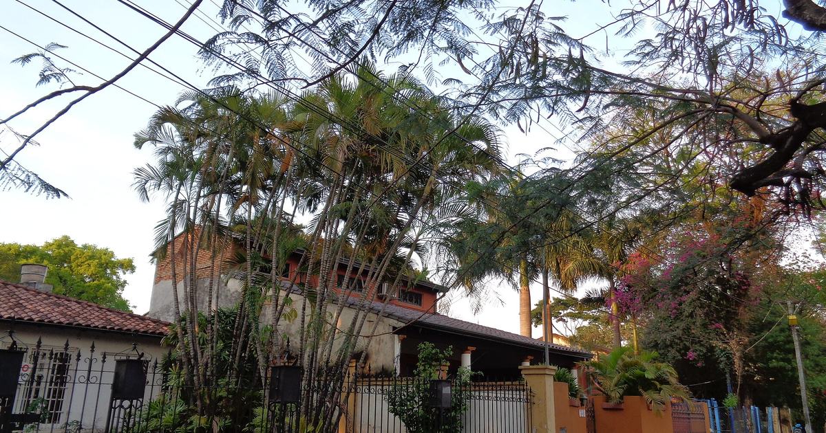 Una calle arbolada con casas en San Lorenzo, Central
