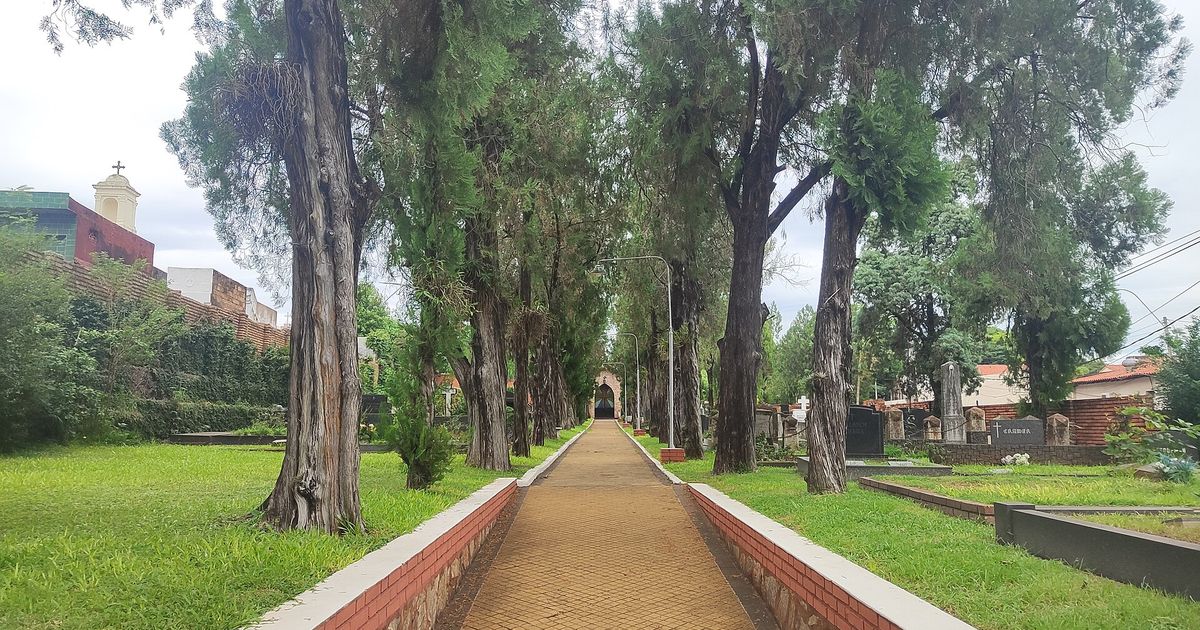 Sendero arbolado del Cementerio Internacional, dentro del Cementerio de la Recoleta, en Asunción