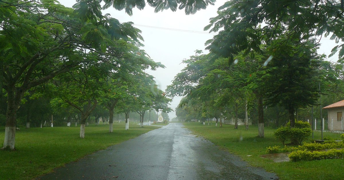 Calle arbolada mojada por la lluvia en Villa Florida, departamento de Misiones