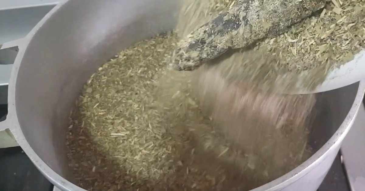 Yerba mate que se vuelca en una olla para preparar cocido quemado