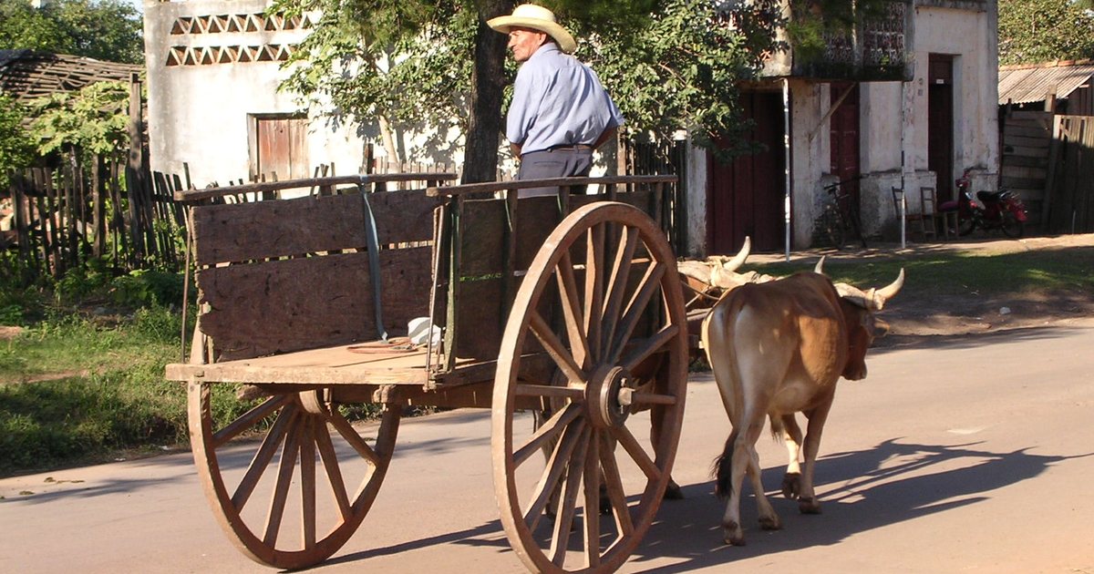 Carreta tradicional tirada por bueyes en una calle de Coronel Oviedo, Caaguazú